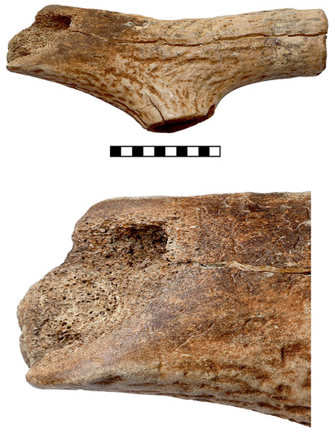 T-shaped antler axe with broken and polished edge