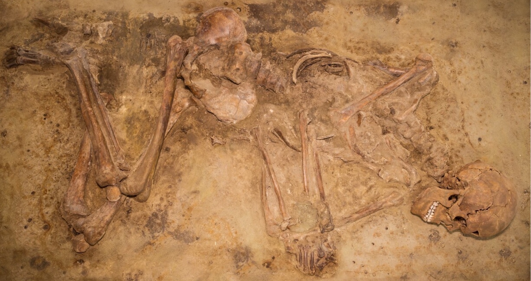 Crouched burial of a man, Oostwoud, The Netherlands