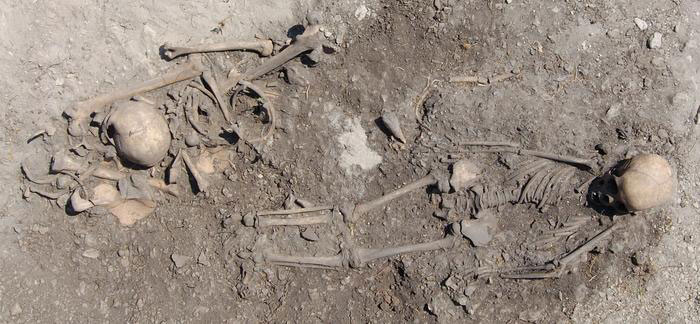 DNA Reveals Kinship Ties in Sweden’s Hunter-Gatherer Cemetery