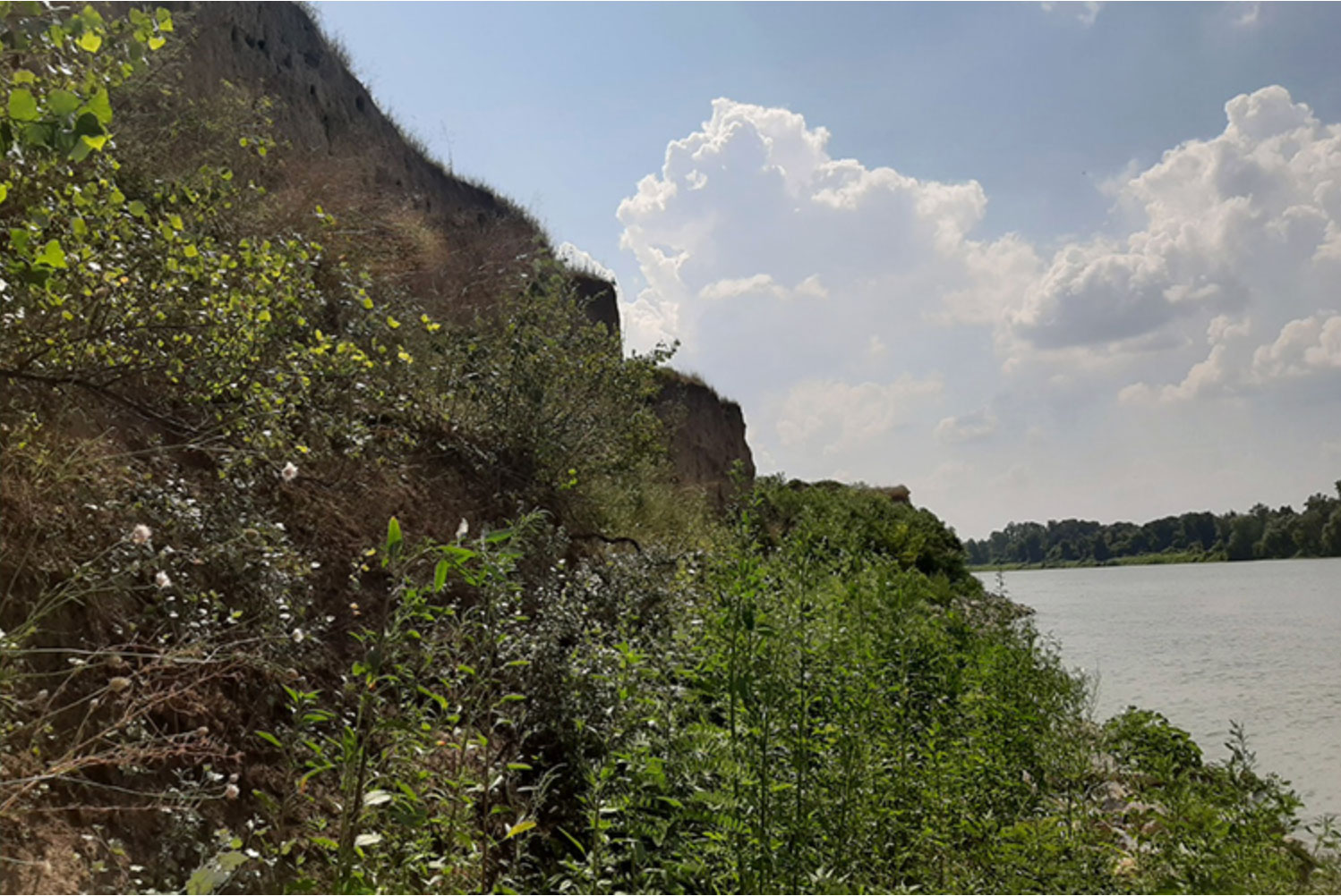 An artificial hill in northern Serbia is the site of the Gomolava burial site.