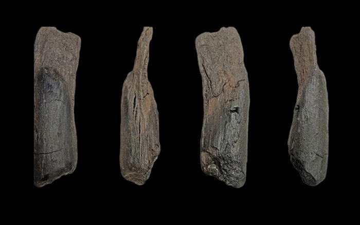 Wooden tool (four views)