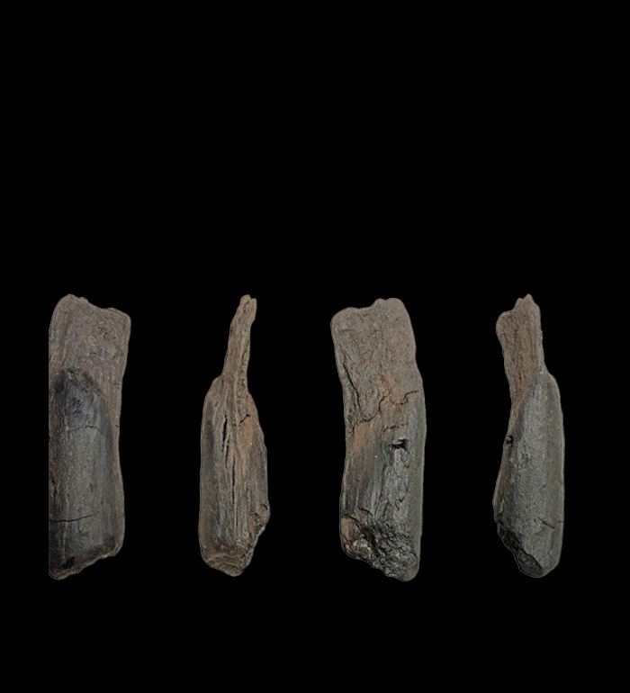 Wooden tool (four views)