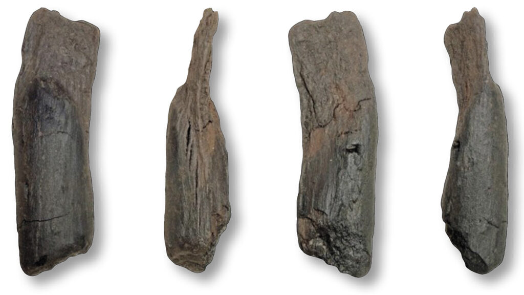 Wooden tool (four views)