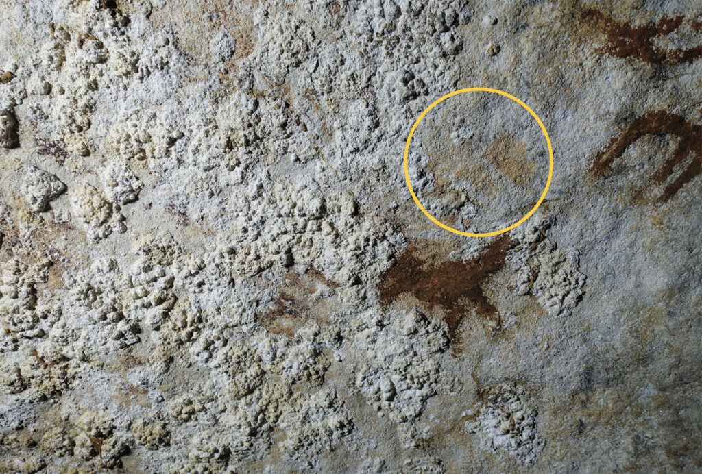 Hand stencil (circled), Metanduno Cave, Indonesia