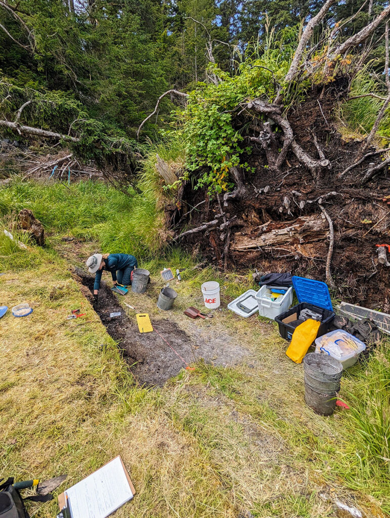 Excavating the People Wish to Be There House