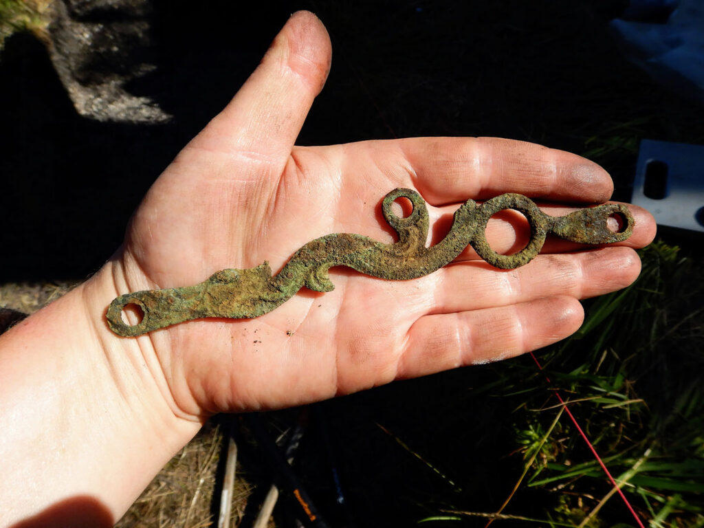 Serpent-shaped side plate from a musket