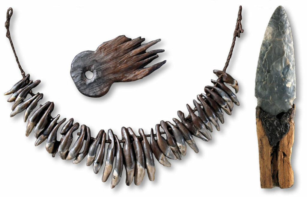 A wooden comb, a necklace of animal teeth, and a flint dagger affixed to a wooden handle with birch tar.