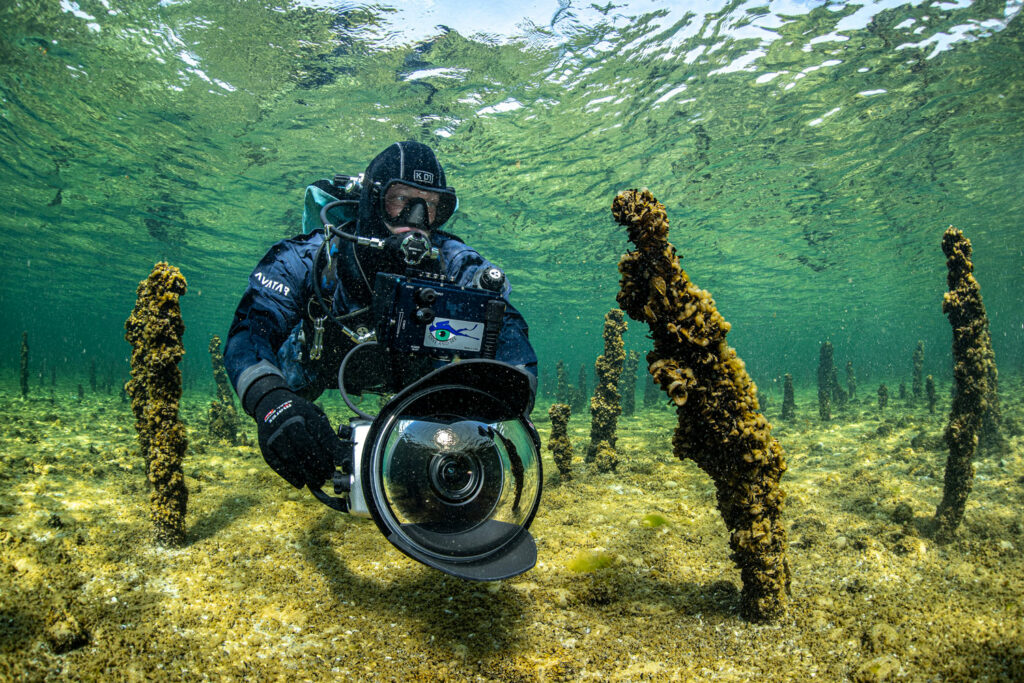 Remnants of stilts that once supported a house constructed in Lake Constance near the village of Unteruhldingen in southern Germany
