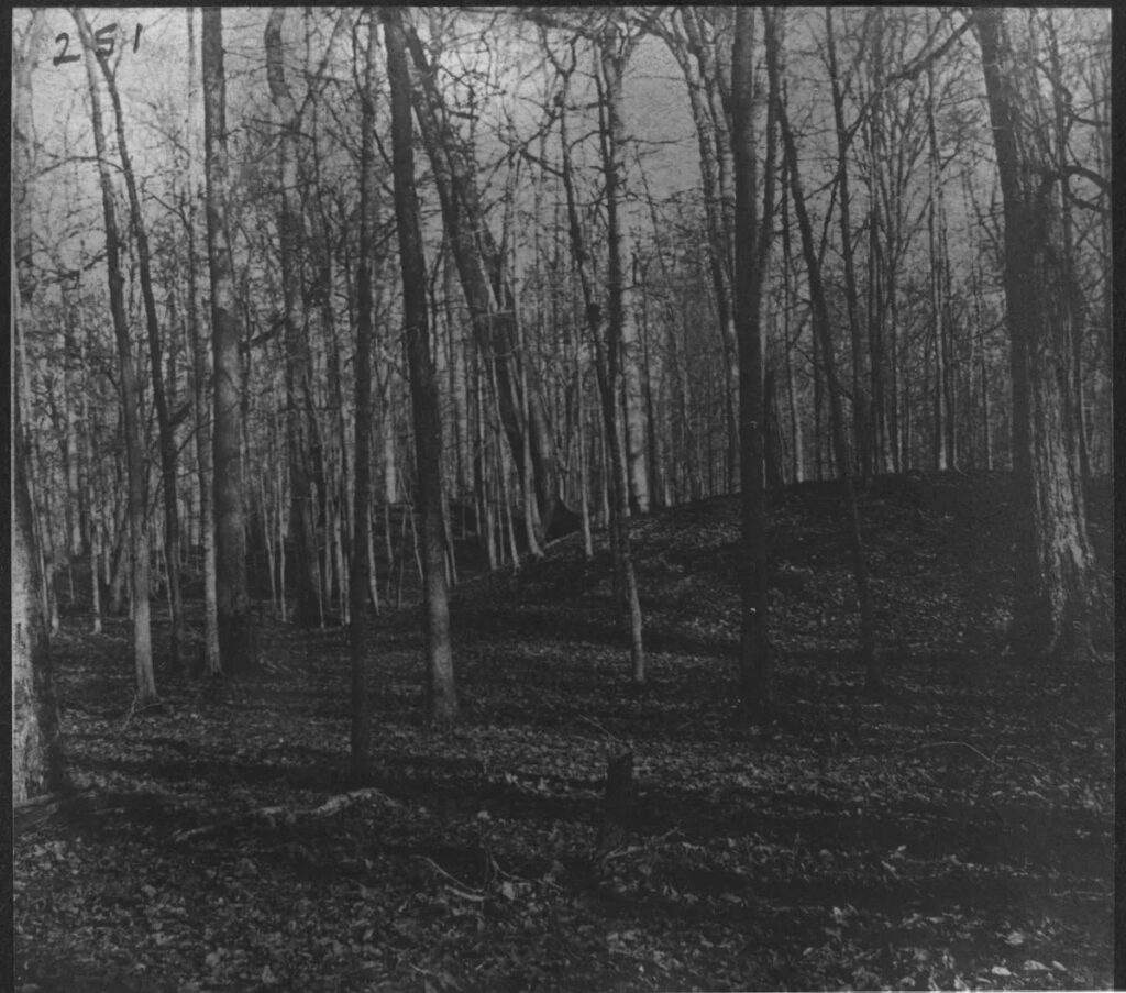 Archival photo showing a mound site in Michigan