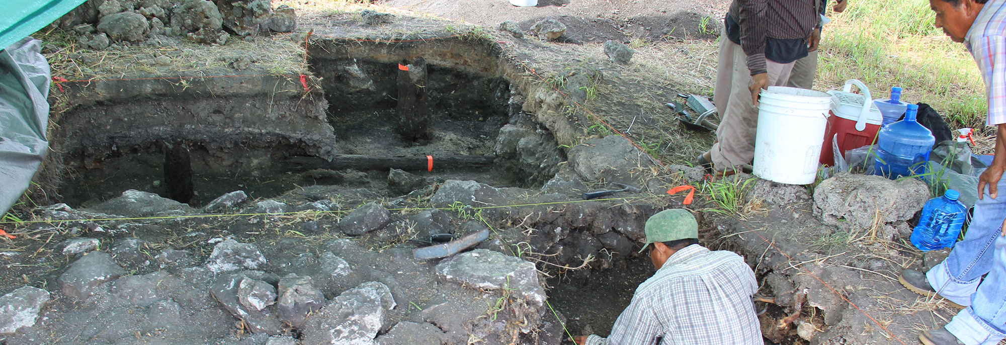 Archaeologists excavate preserved Maya wooden architecture at the Birds of Paradise wetland field complex in northwestern Belize