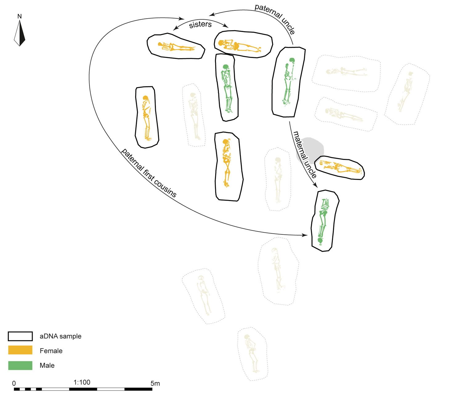Cotswold Archaeology