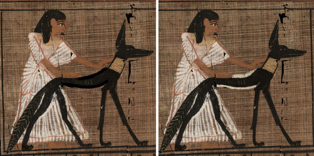 This papyrus from a copy of the Book of the Dead depicts the royal scribe Ramose placing his hands on the body of a jackal-headed god. The image on the left shows the papyrus before correction, and the one on the right shows the jackal as it would have appeared after correction, when the white lines blended with the natural color of the papyrus to make the body slimmer.