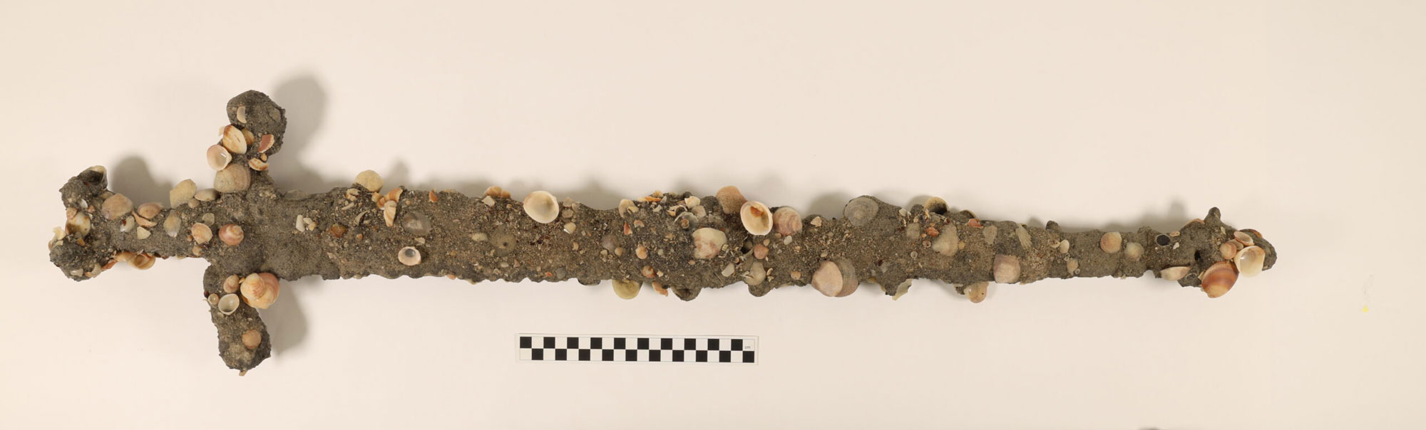 Crusader-era sword encrusted with shells