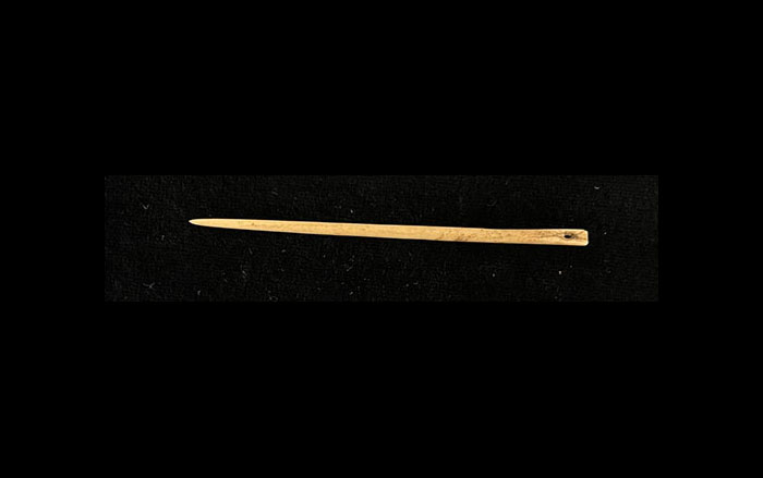 Bone needle