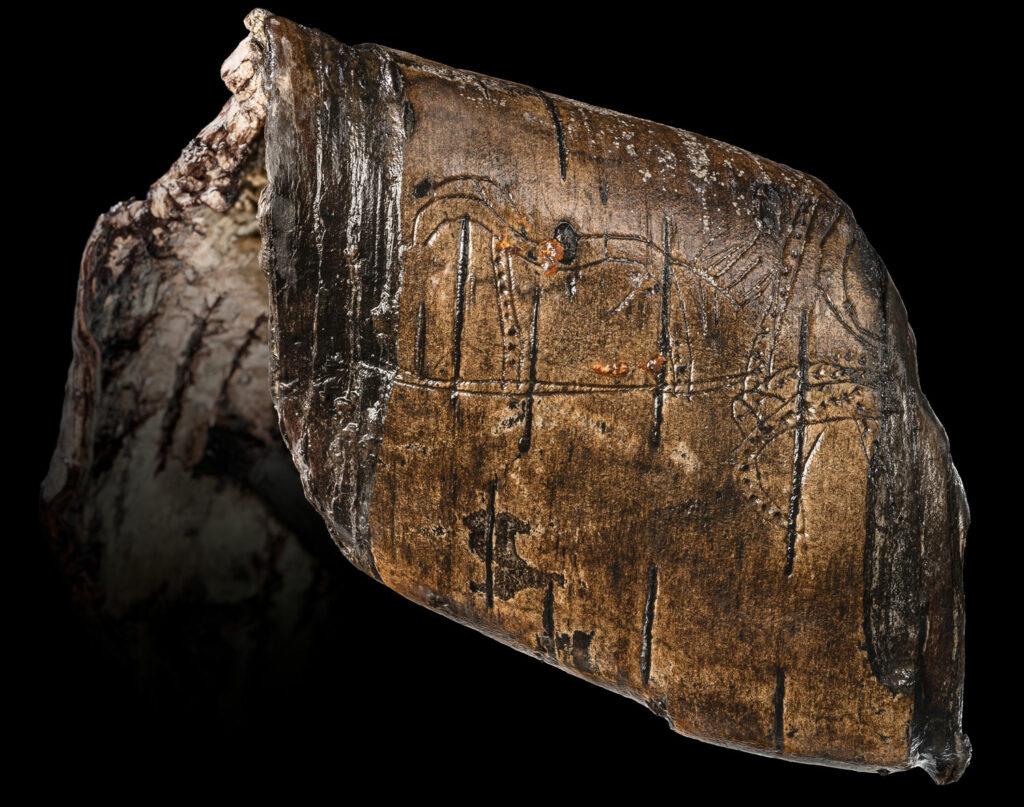 A stallion etched on a strip of birch bark