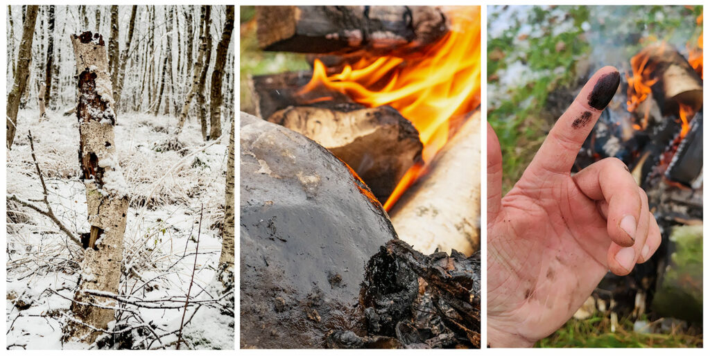 The bark of birch trees (left) has been used to produce tar for more than 150,000 years. Birch bark tar (center) is shown condensed onto a rock next to a hearth. When scraped off the rocks, the viscous tar (right) can be used as both an adhesive and antibiotic.
