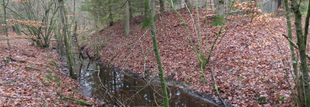Moat and ramparts of the medieval town of Stolzenberg, Poland