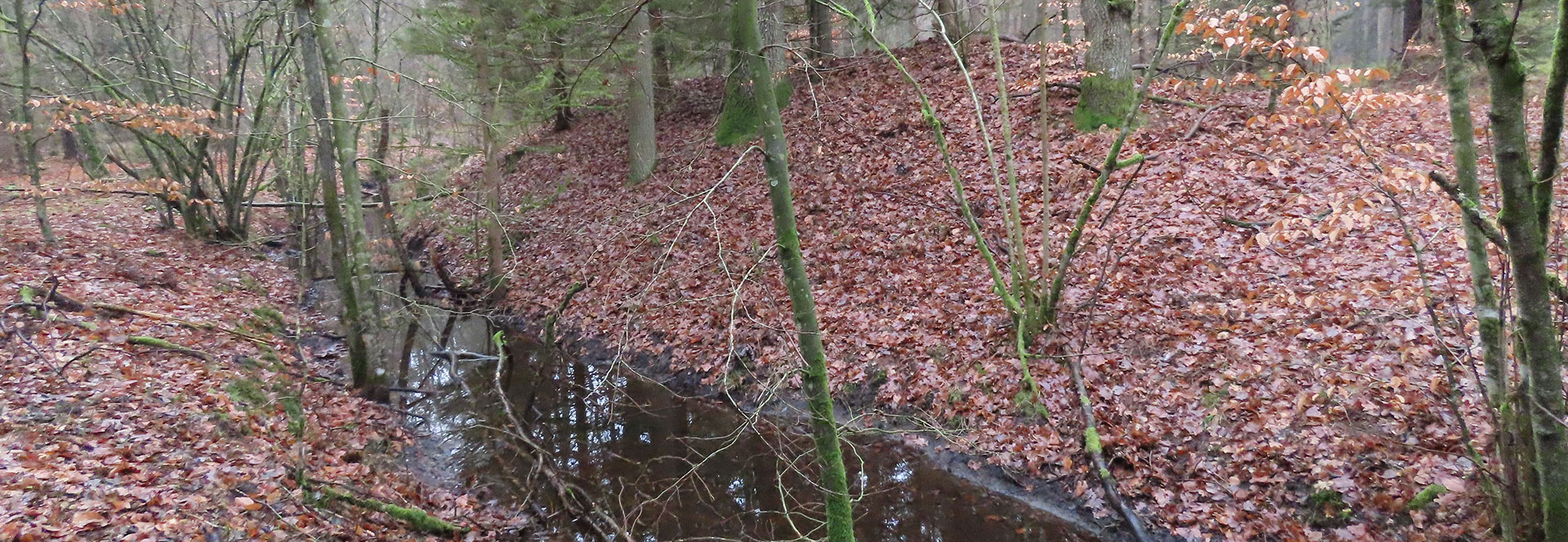 Moat and ramparts of the medieval town of Stolzenberg, Poland