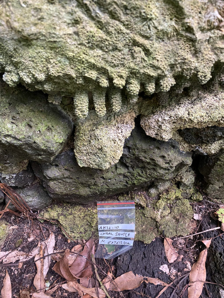 Branch corals on a historic house on Akamaru Island, French Polynesia