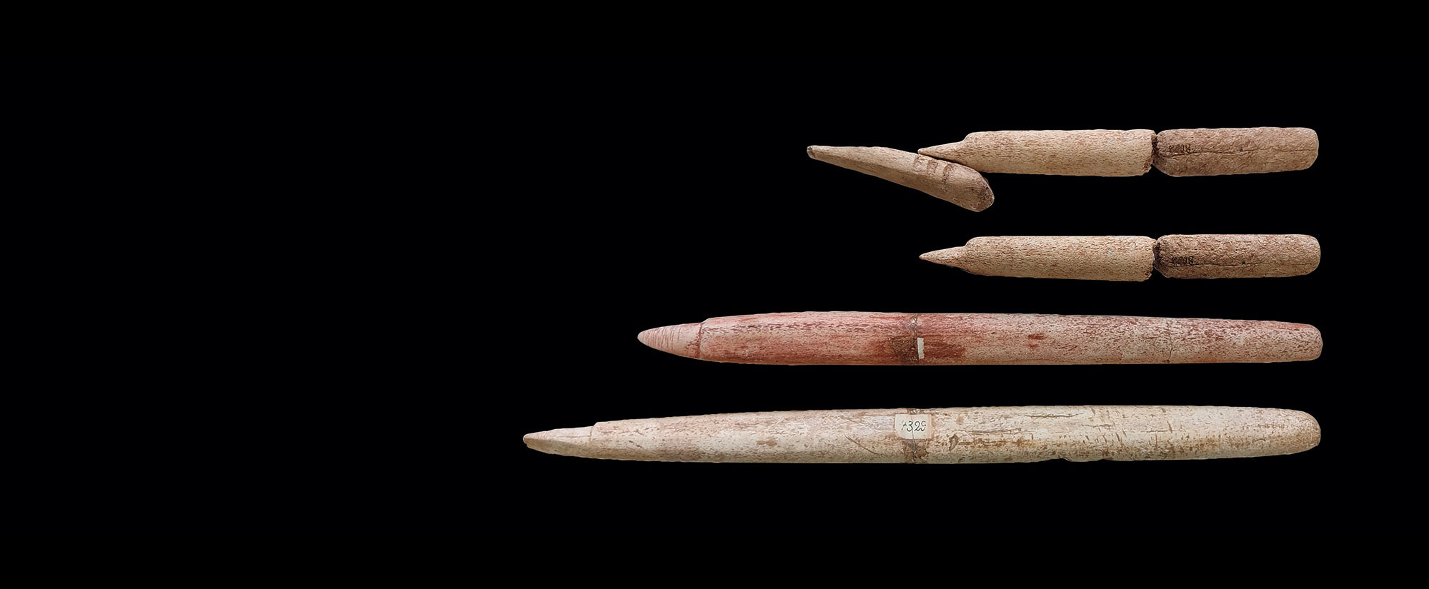 Whale bone harpoons
