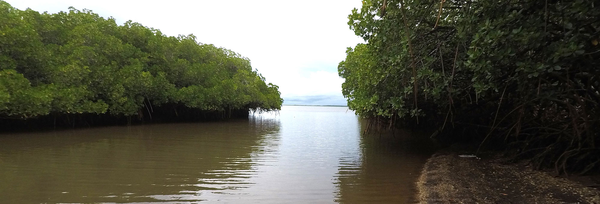 View of the location where the midden island off the coast of Culasawani, Fiji, meets the river and the sea