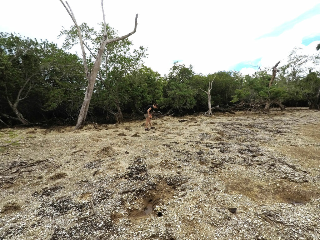 Michelle McKeown of University College Cork explores the surface of the midden island off the coast of Culasawani, Fiji.