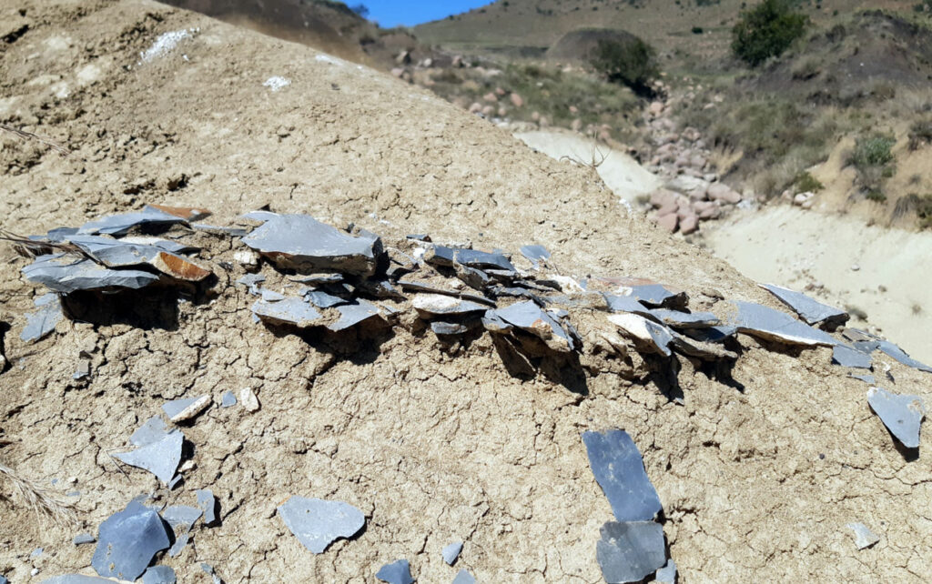 Visible accumulations of stone artifacts at the Jojosi site, South Africa