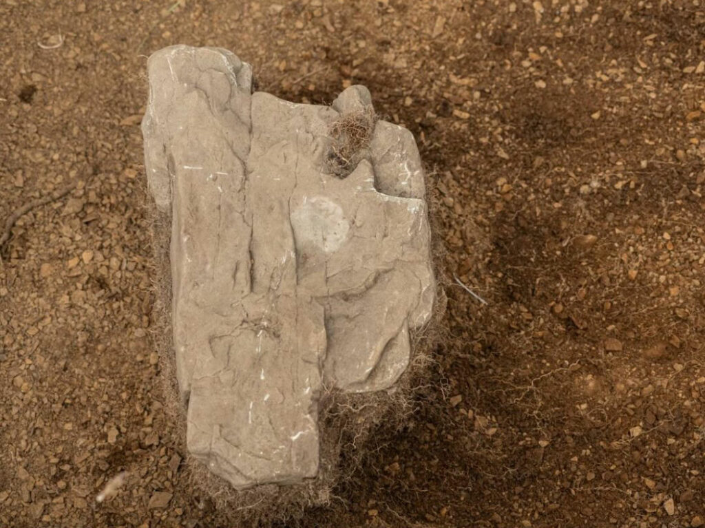 The coin was found atop a foundation stone of a ruined church at the site of Ciudad del Rey Don Felipe, Chile.