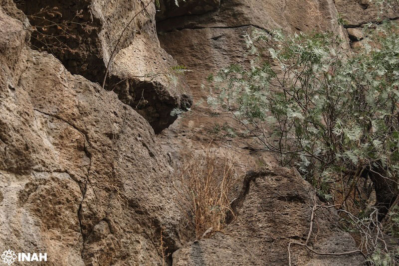 Rock art panel with a deer-shaped motif at the site of El Venado, Hidalgo, Mexico