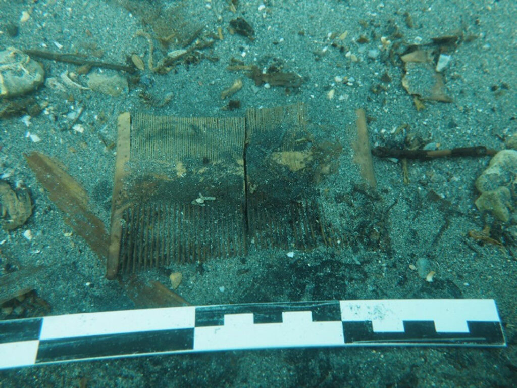 Nit comb found in the Puente Mayorga IV wreck, Bay of Gibraltar, Spain