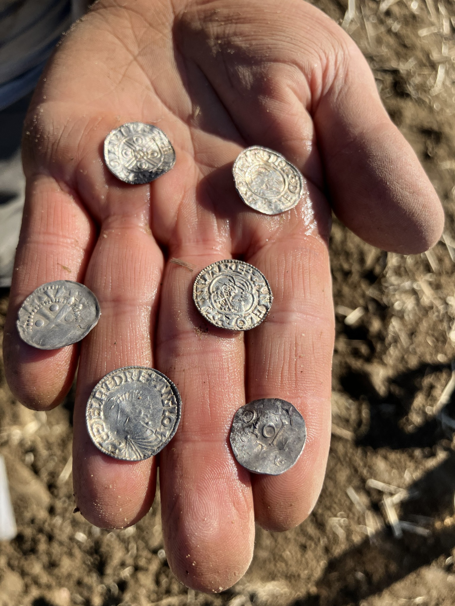 News - Viking Coin Hoard Discovered in Norway - Archaeology Magazine