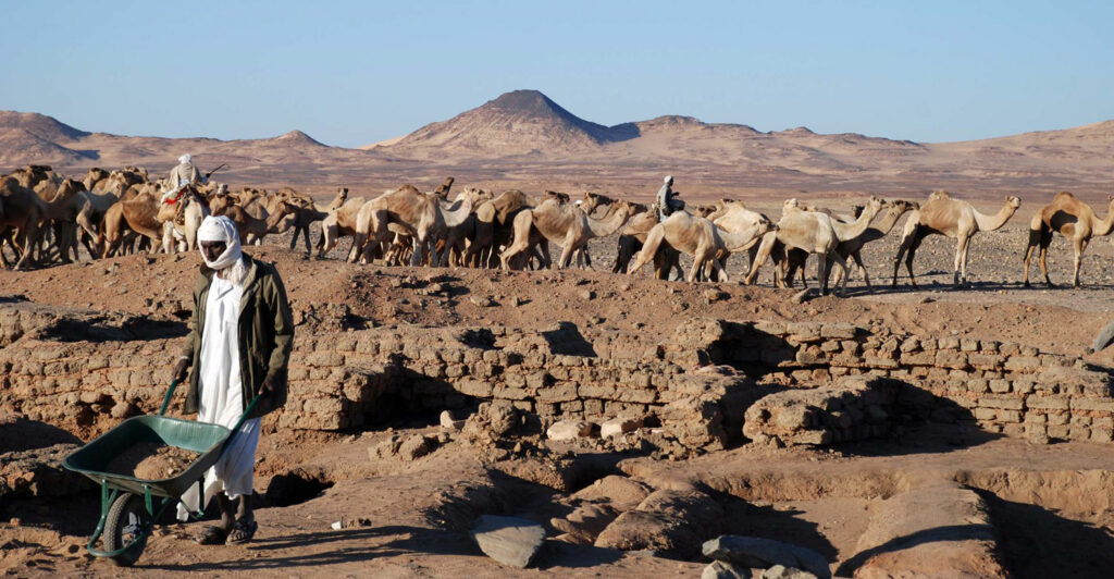Excavations of Sedeinga necropolis with camels in background traveling along a caravan route