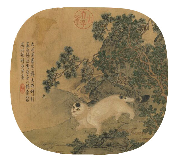 Tang Dynasty cat painting