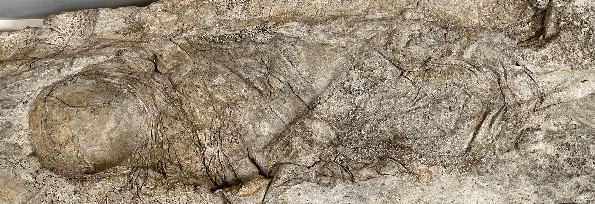 Impression of Roman infant in gypsum cast