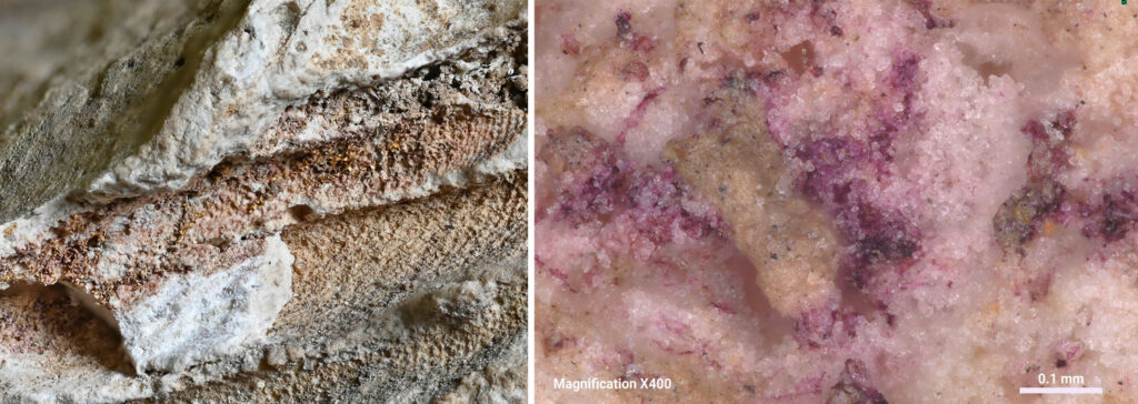 Detail of textile with traces of Tyrian purple dye and gold thread (left) and the dye seen under magnification (right)