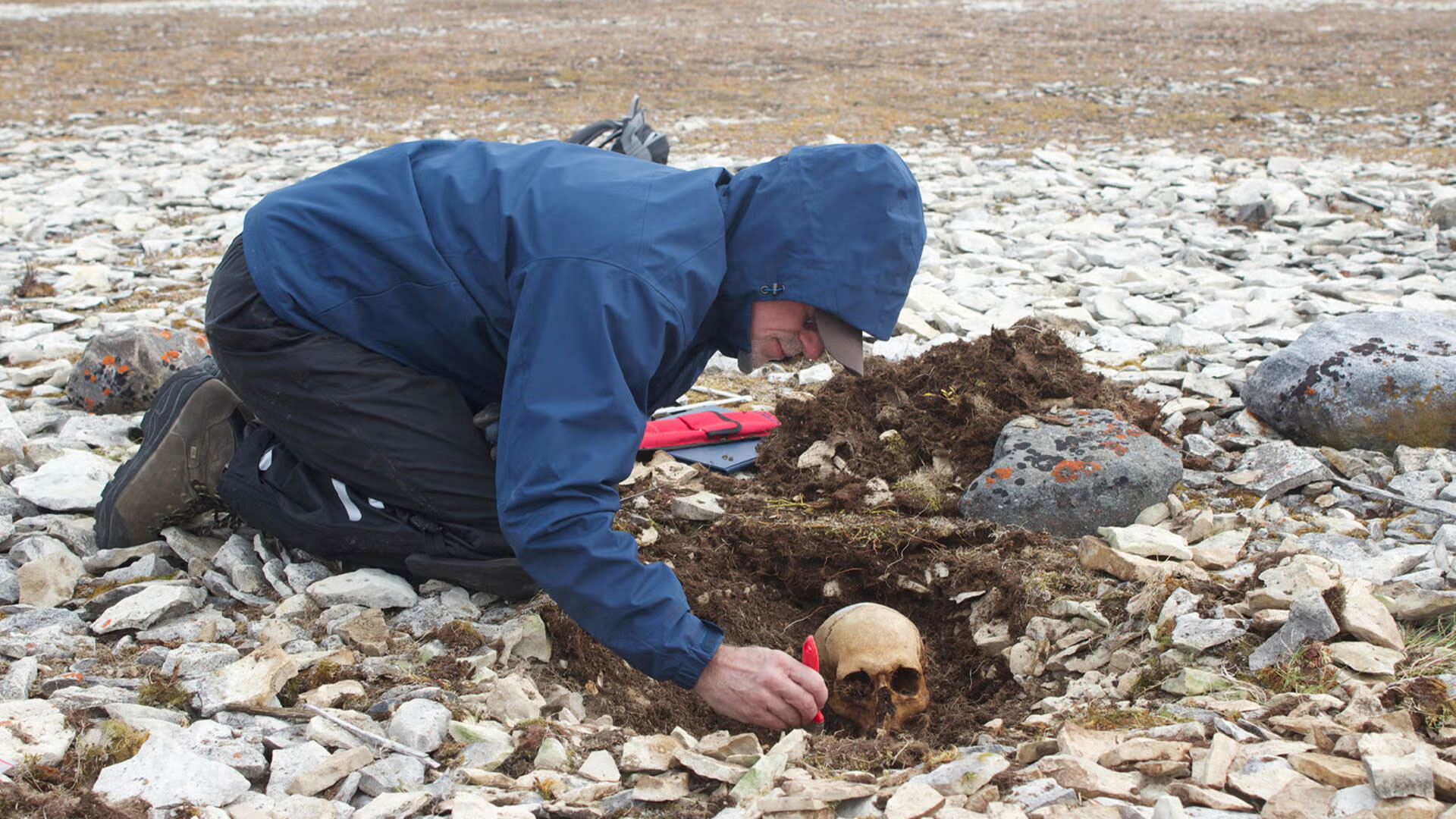 Douglas Stenton excavates the bones of Franklin Expedition sailors at Erebus Bay