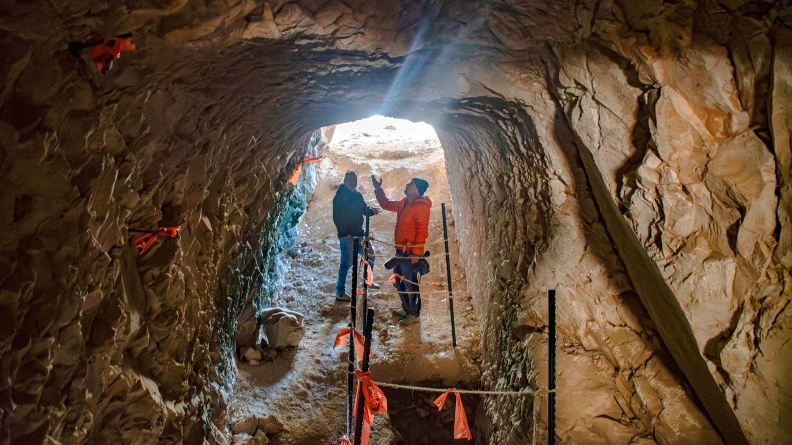 Yoli Schwartz, Israel Antiquities Authority