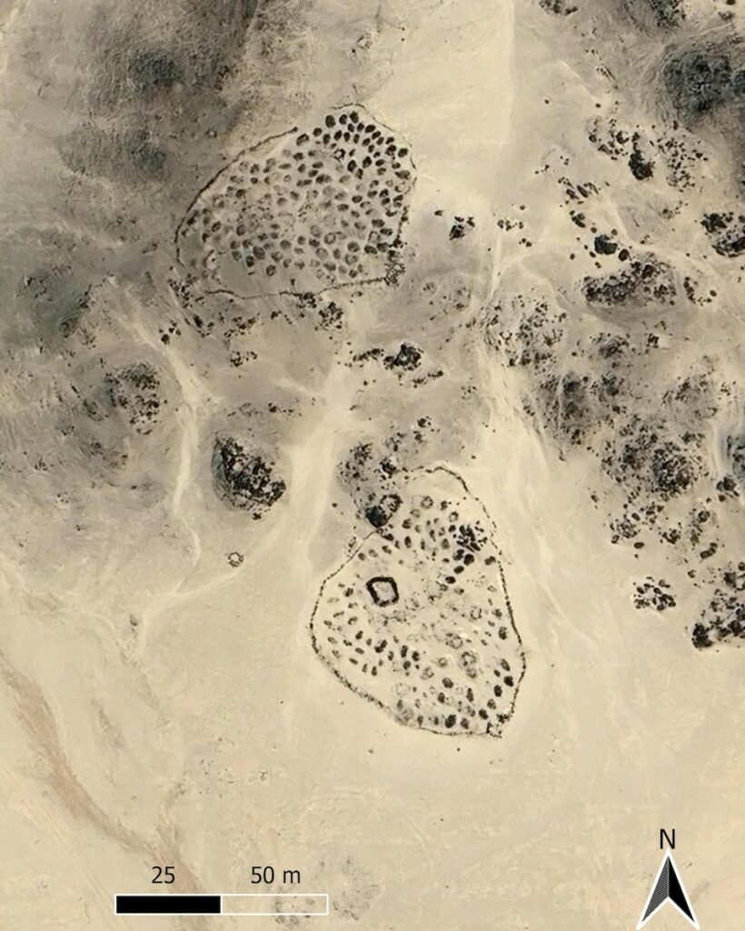 Aerial view of enclosure burials, Atbai Desert, Sudan