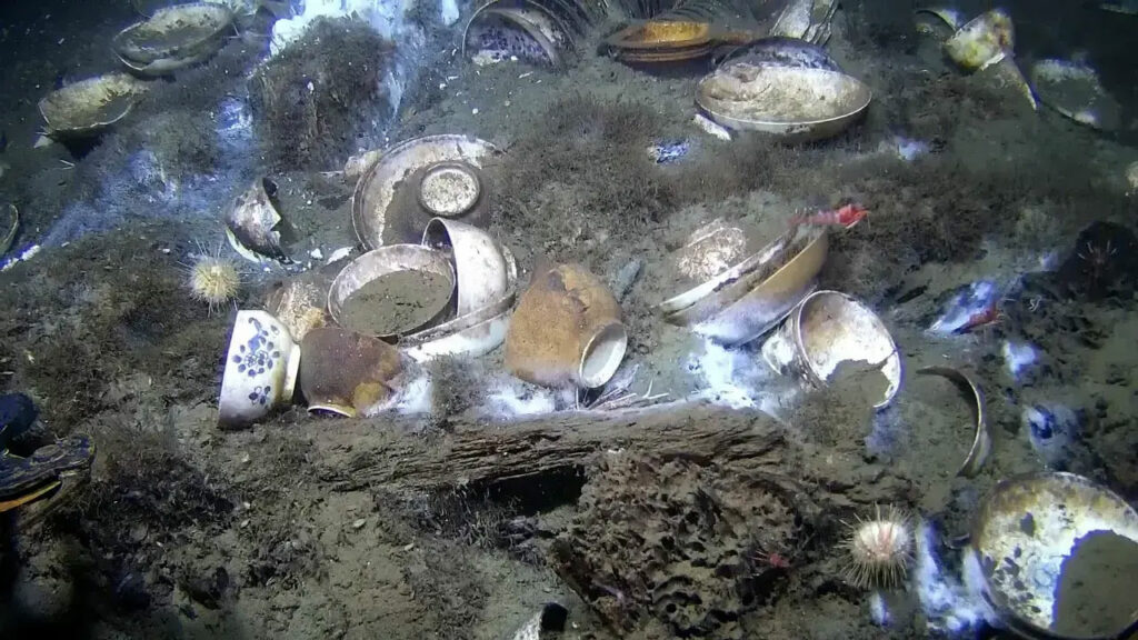 Porcelain in situ in the Skagerrak Strait, Norway