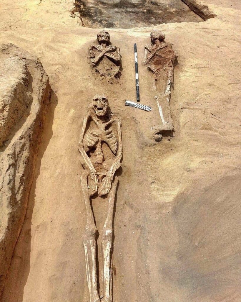 Burials, Tell Kom Aziza, Egypt