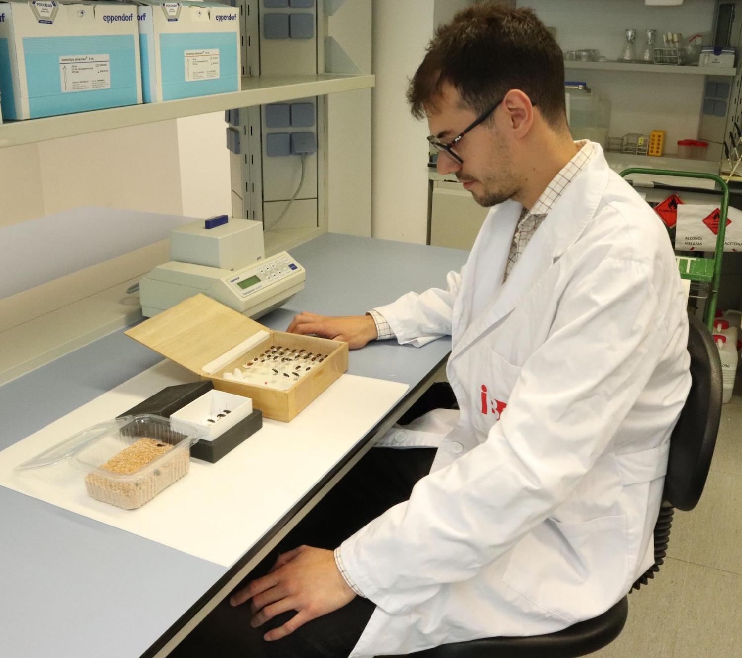 Researcher Manuel Piñero displays live beetles and preserved specimens that were used in the group’s research.