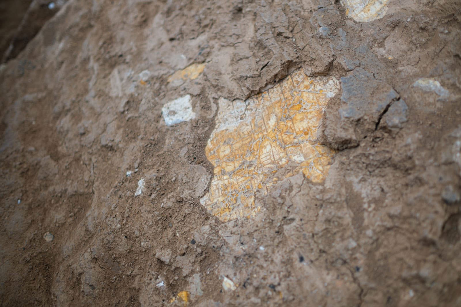 Cuneiform text on Assyrian stele during excavation, Ninevh, Iraq