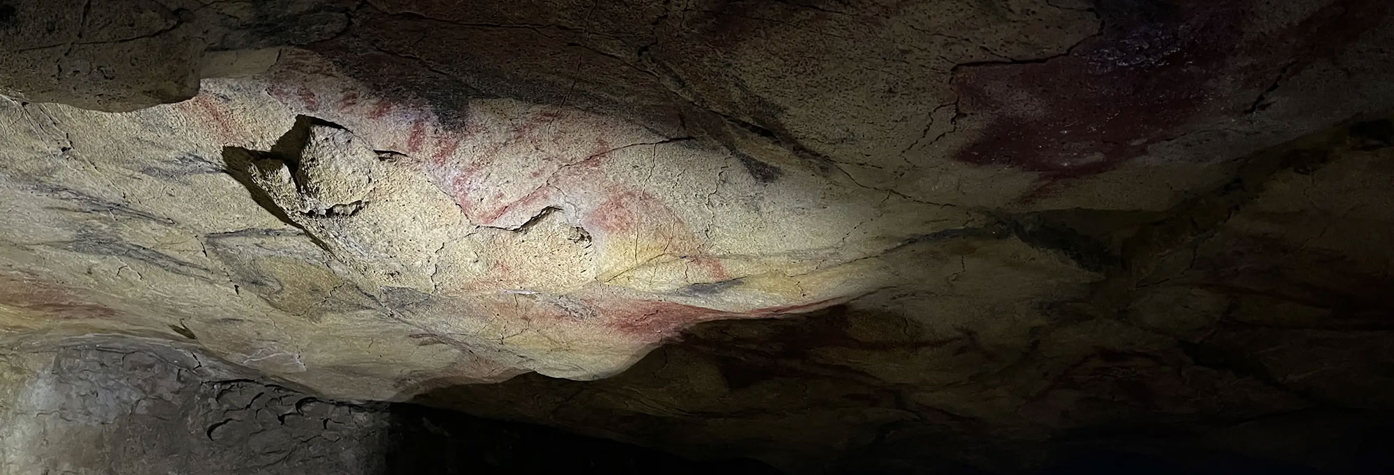 Painted ceiling, Altamira Cave, Spain