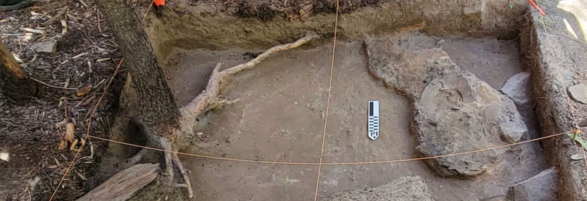 Floorboards in excavation trench at the Baker White Pine Mill site, Oregon