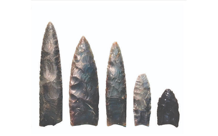 Clovis fluted points