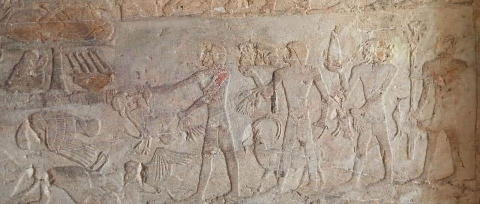 Carving on tomb wall, Saqqara, Egypt