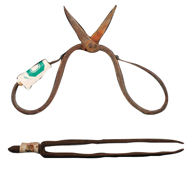 Metal tweezers and scissors