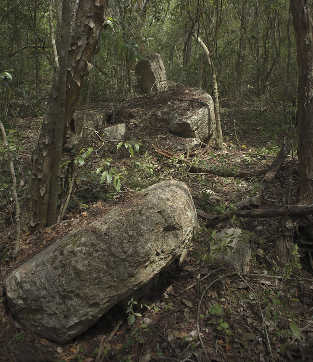 Lost Maya city