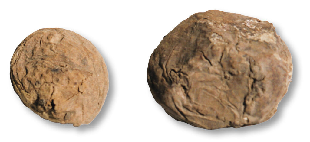 Freeze-dried potatoes
