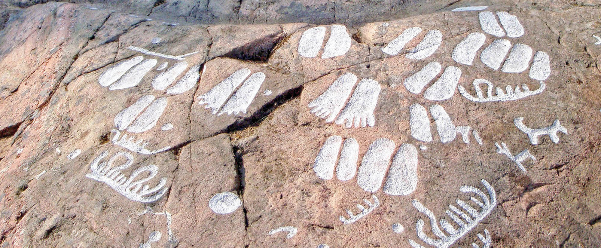 Podomorphs highlighted with paint, southern Sweden